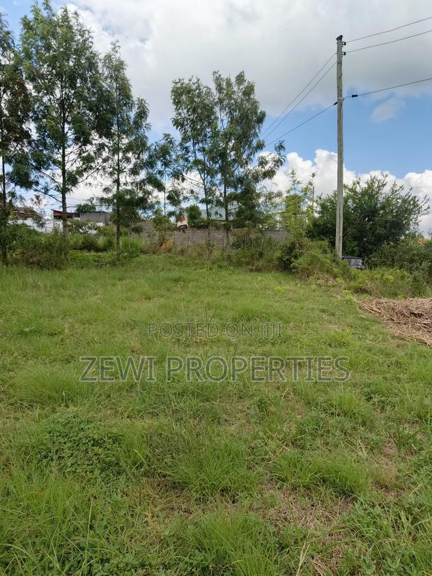 1/8 Olkeri Matasia - thumbnail 4