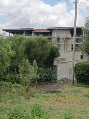 1/8 Olkeri Matasia - thumbnail 2