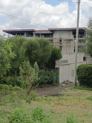 1/8 Olkeri Matasia