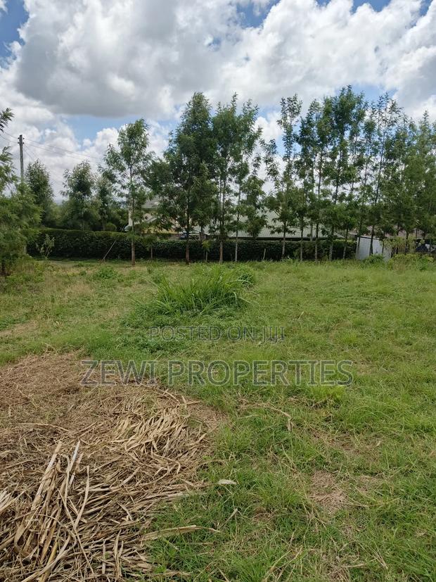 1/8 Olkeri Matasia - thumbnail 5