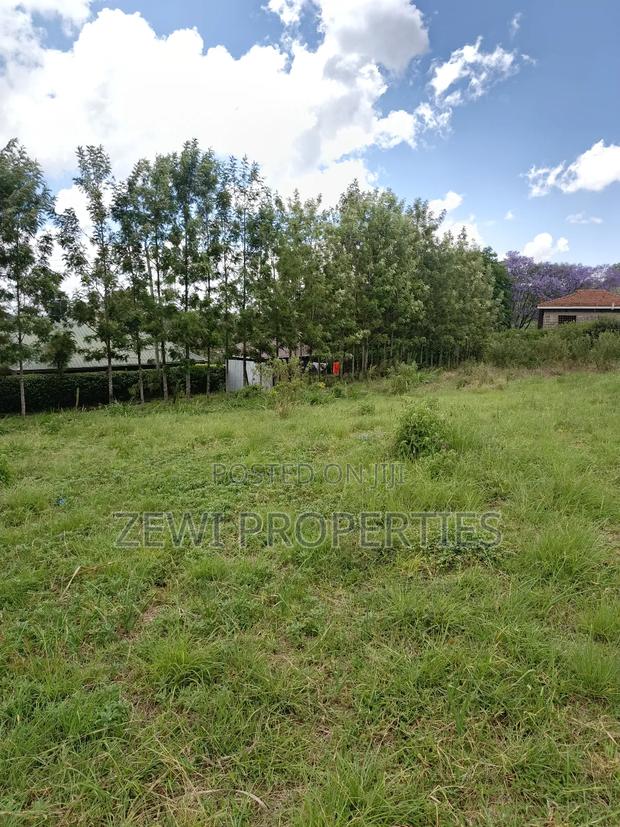 1/8 Olkeri Matasia - thumbnail 6