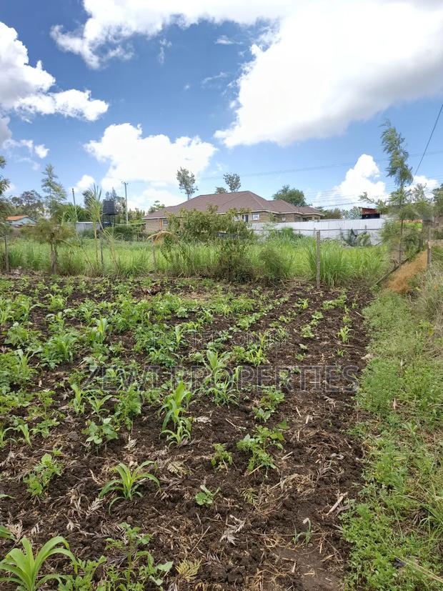 1/8 Olkeri Matasia - main view