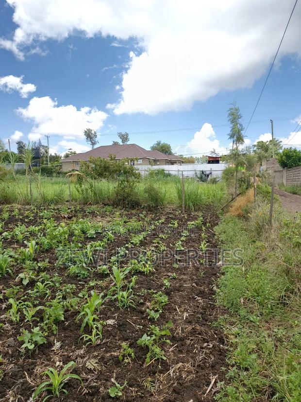 1/8 Olkeri Matasia - thumbnail 3