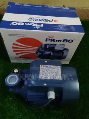 Pedrollo Pump/ 1hp Electric Water Pump Pkm80