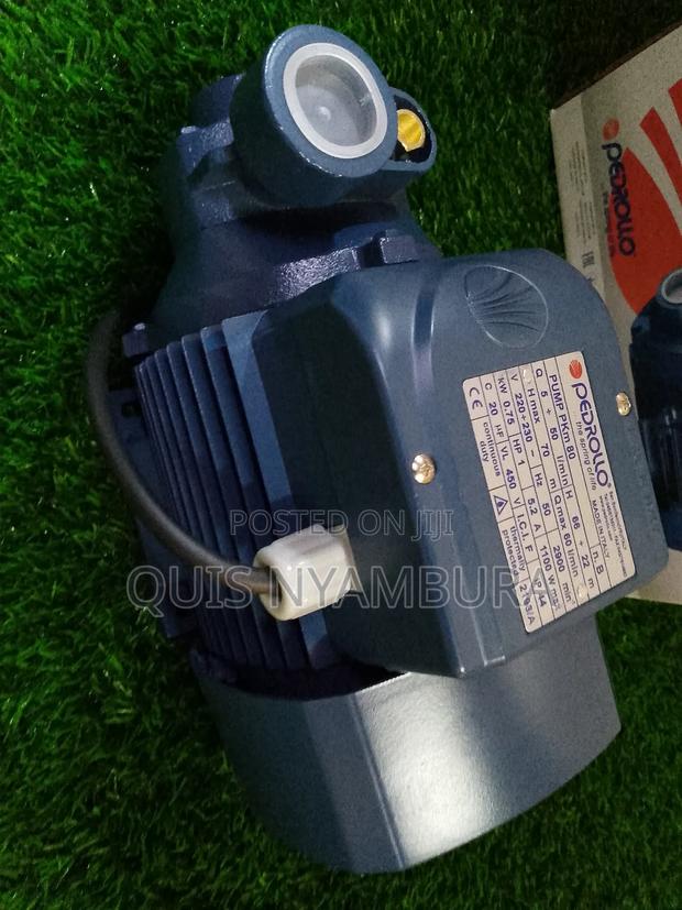 Pedrollo Pump/ 1hp Electric Water Pump Pkm80 - thumbnail 2