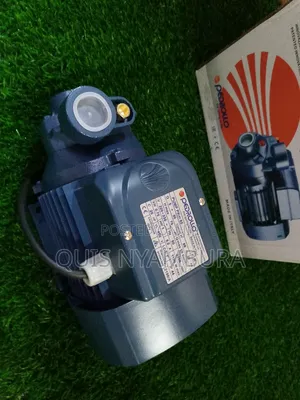 70m Pedrollo Water Pump/ Pedrollo Pump Pkm80
