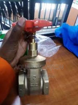 "Get Maximum Durability With Our Gate Valves - thumbnail 2