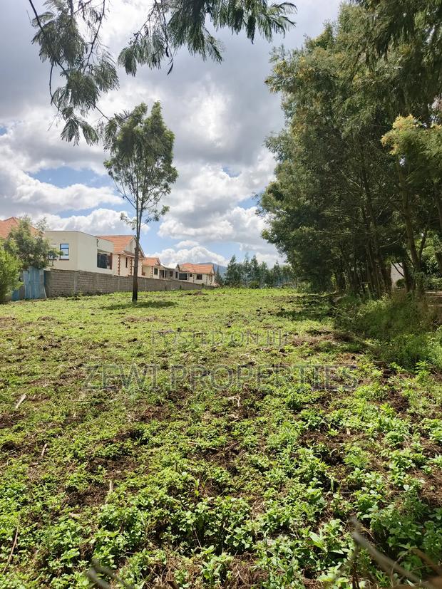 1/8 Oloika - thumbnail 4