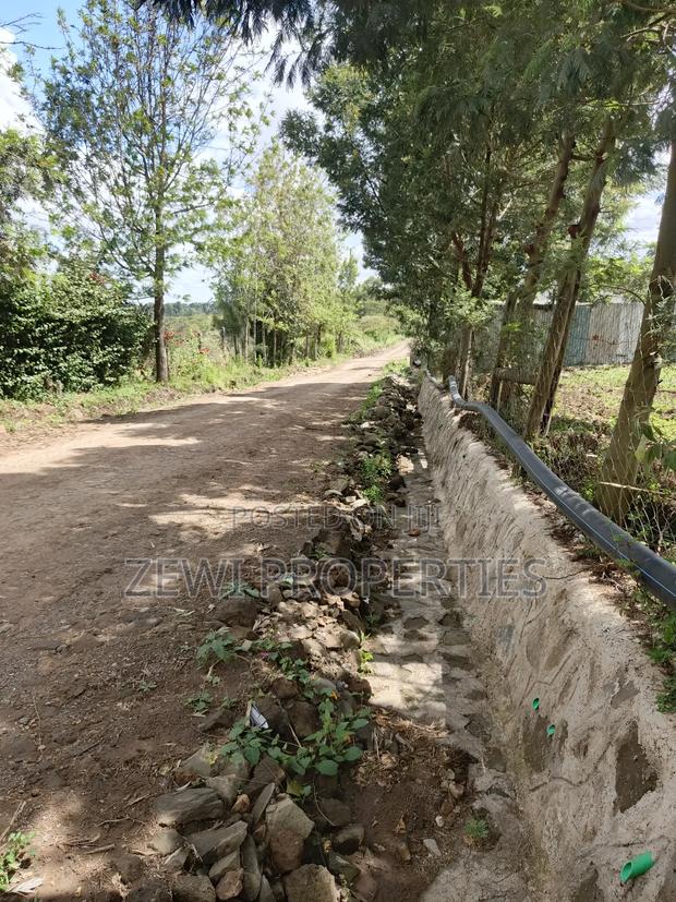 1/8 Oloika - thumbnail 5