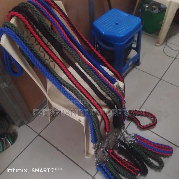 Dog Leash,Dog Leash With Harness - main view
