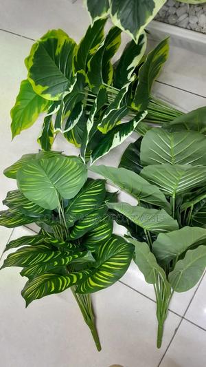 Plants Variety Home Decor - thumbnail 2