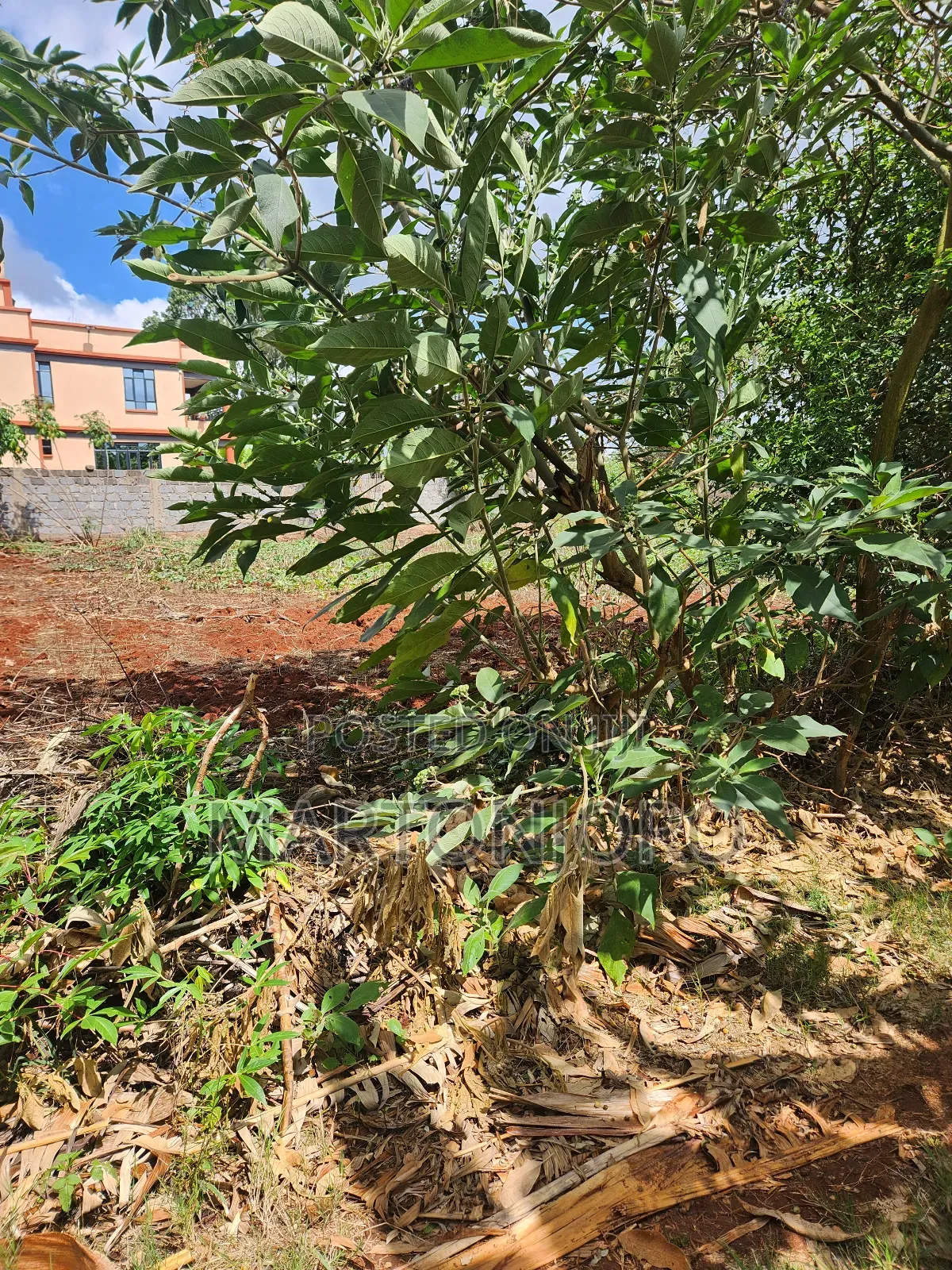 Westwood ( Karangaita)Estate