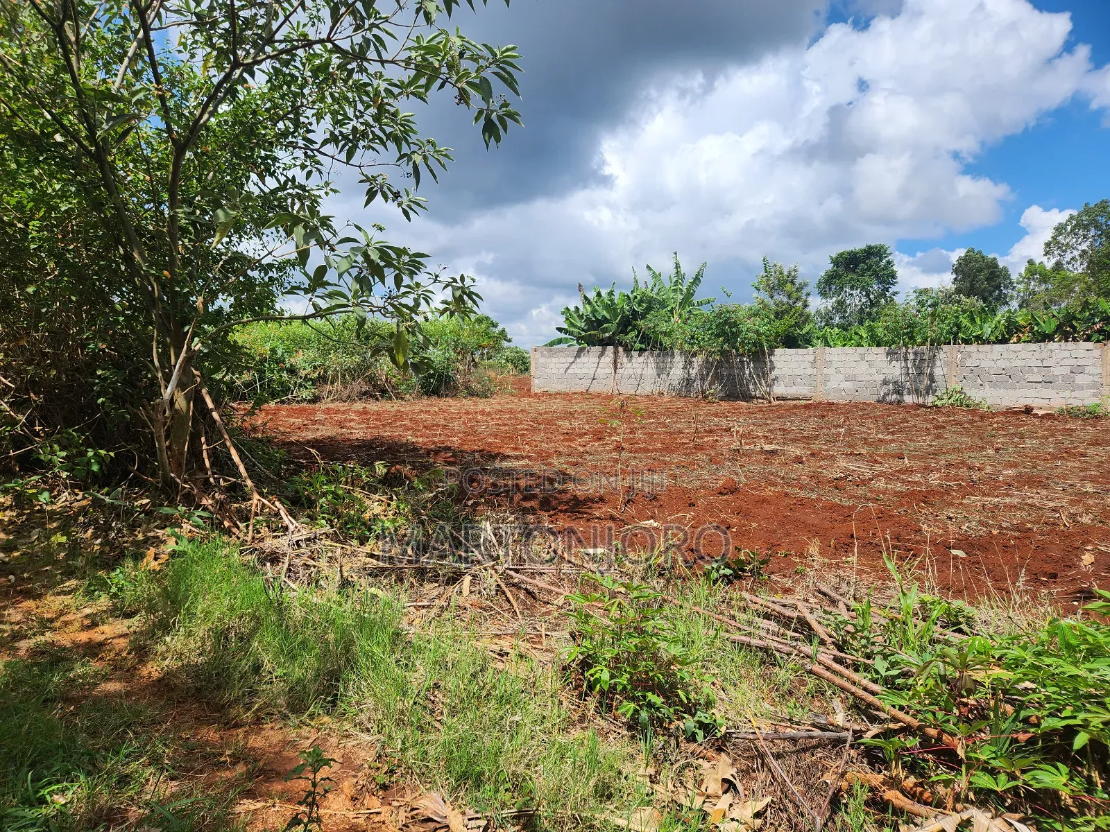 Westwood ( Karangaita)Estate