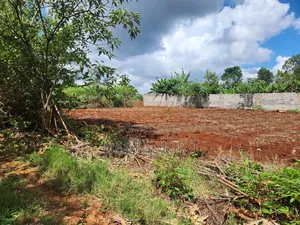 Westwood ( Karangaita)Estate
