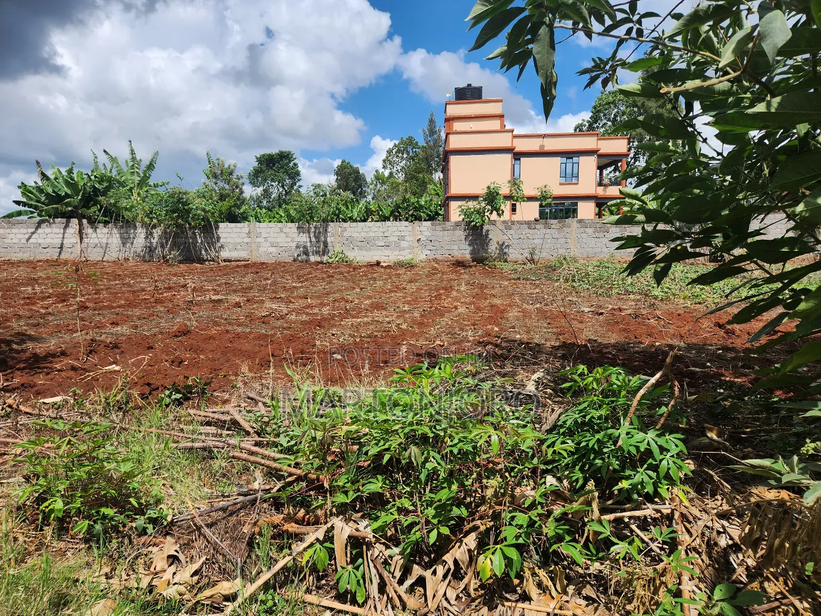 Westwood ( Karangaita)Estate
