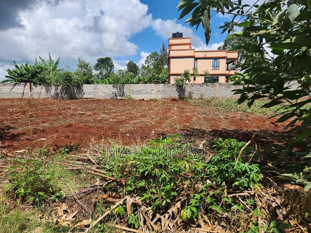 Westwood ( Karangaita)Estate - thumbnail 3