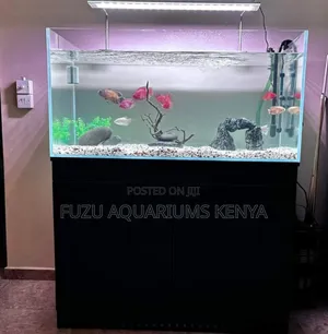 Easy Maintenance Aquarium