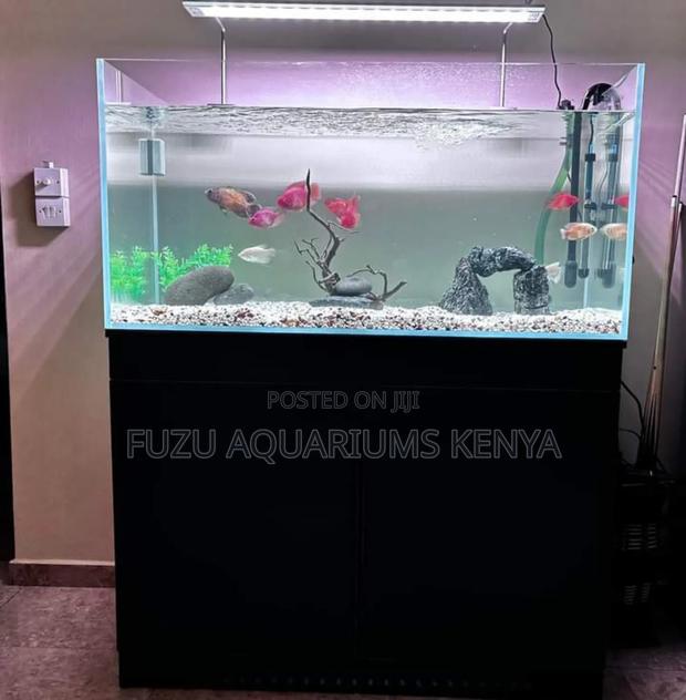 Easy Maintenance Aquarium