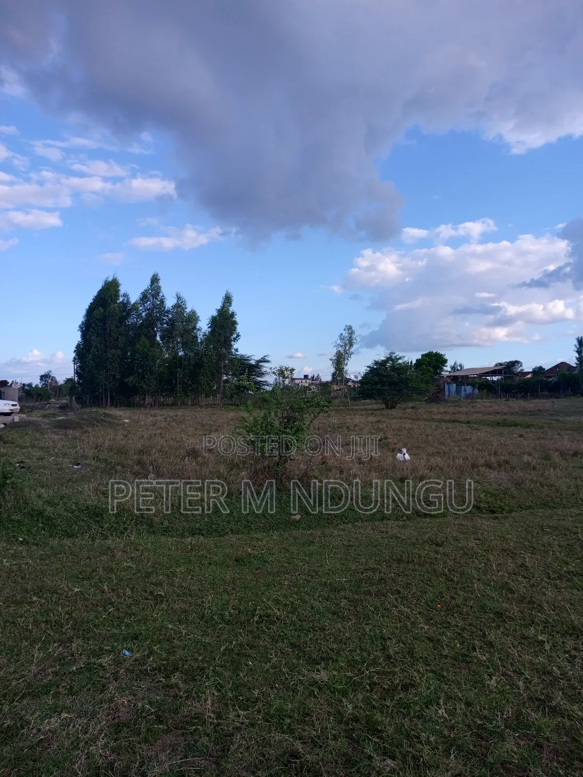 Prime Land on Sale, 1acre Kamakis