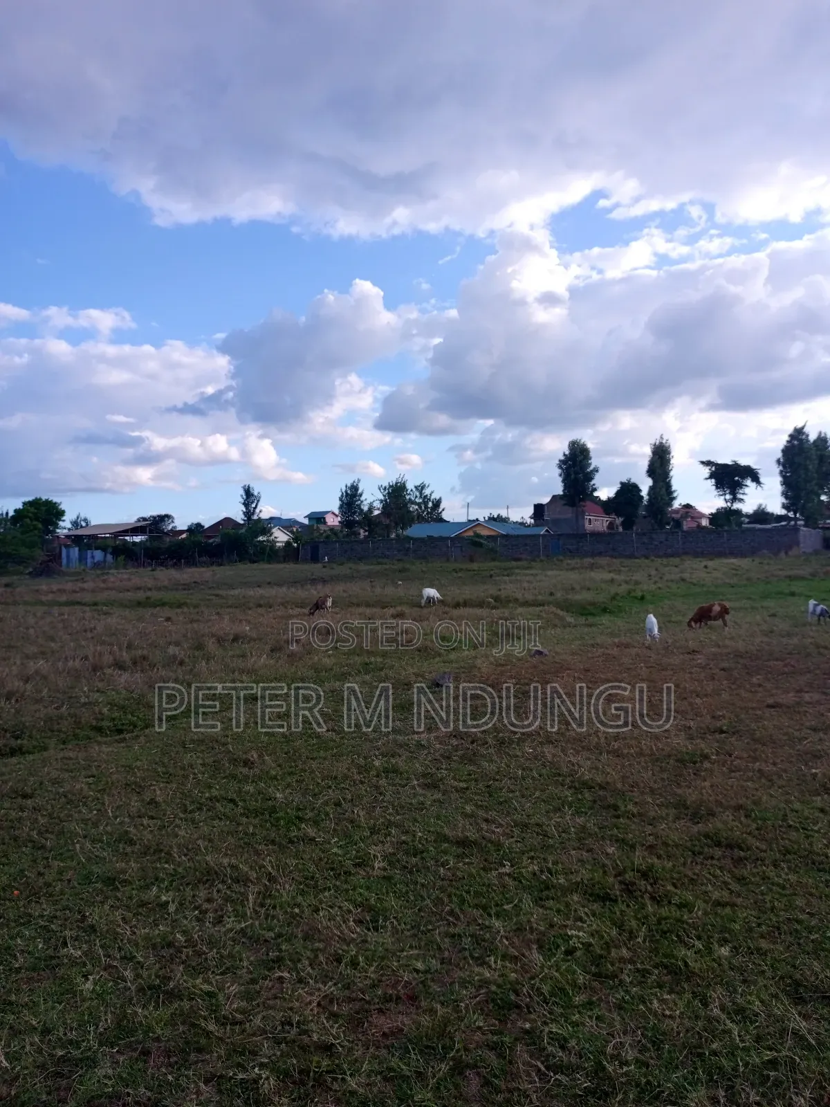 Prime Land on Sale, 1acre Kamakis