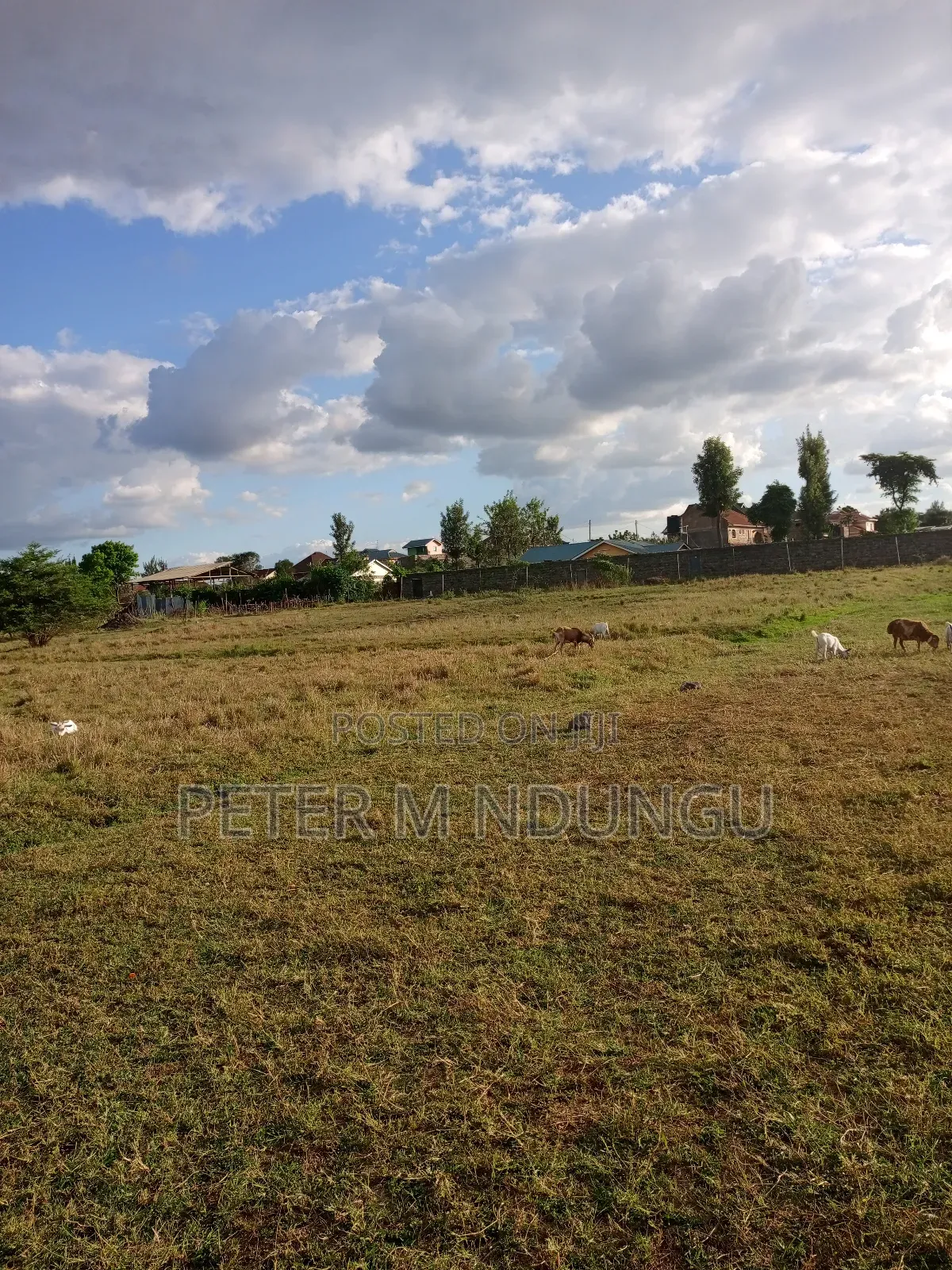 Prime Land on Sale, 1acre Kamakis