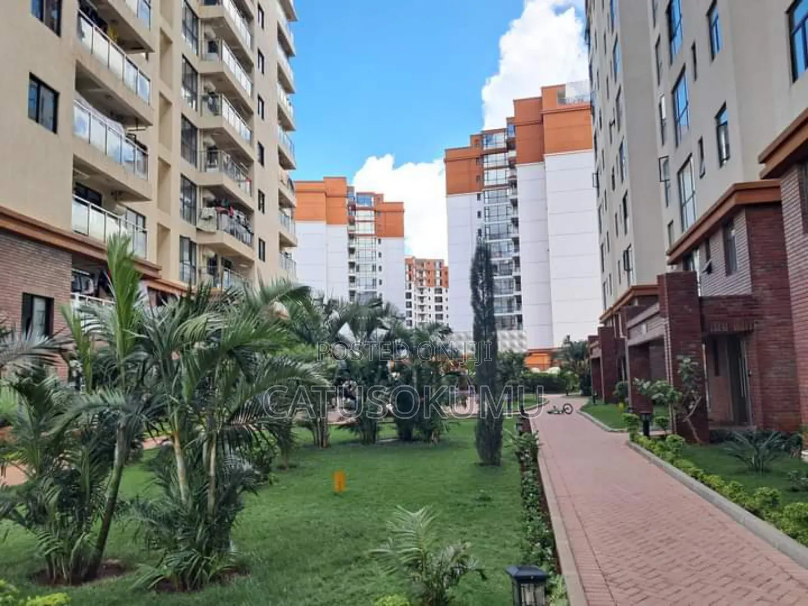 3bdrm Apartment in Syokimau for rent