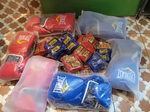 Everlast Boxing Gloves