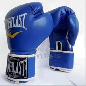 Everlast Boxing Gloves