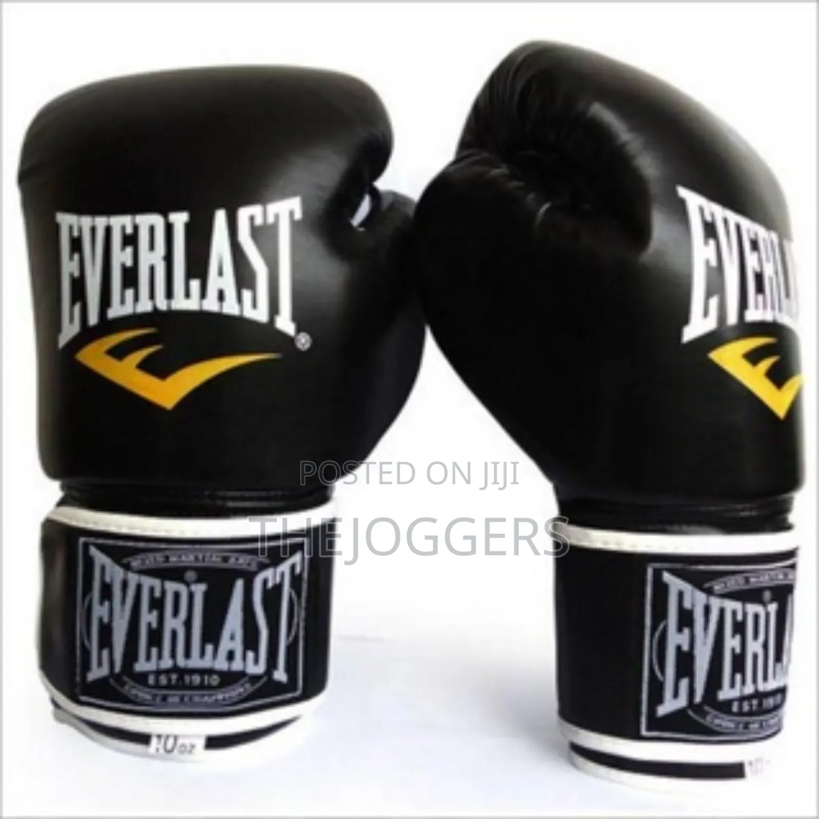 Everlast Boxing Gloves