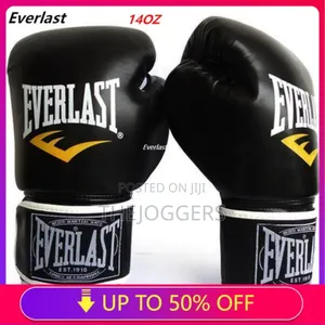 Everlast Boxing Gloves
