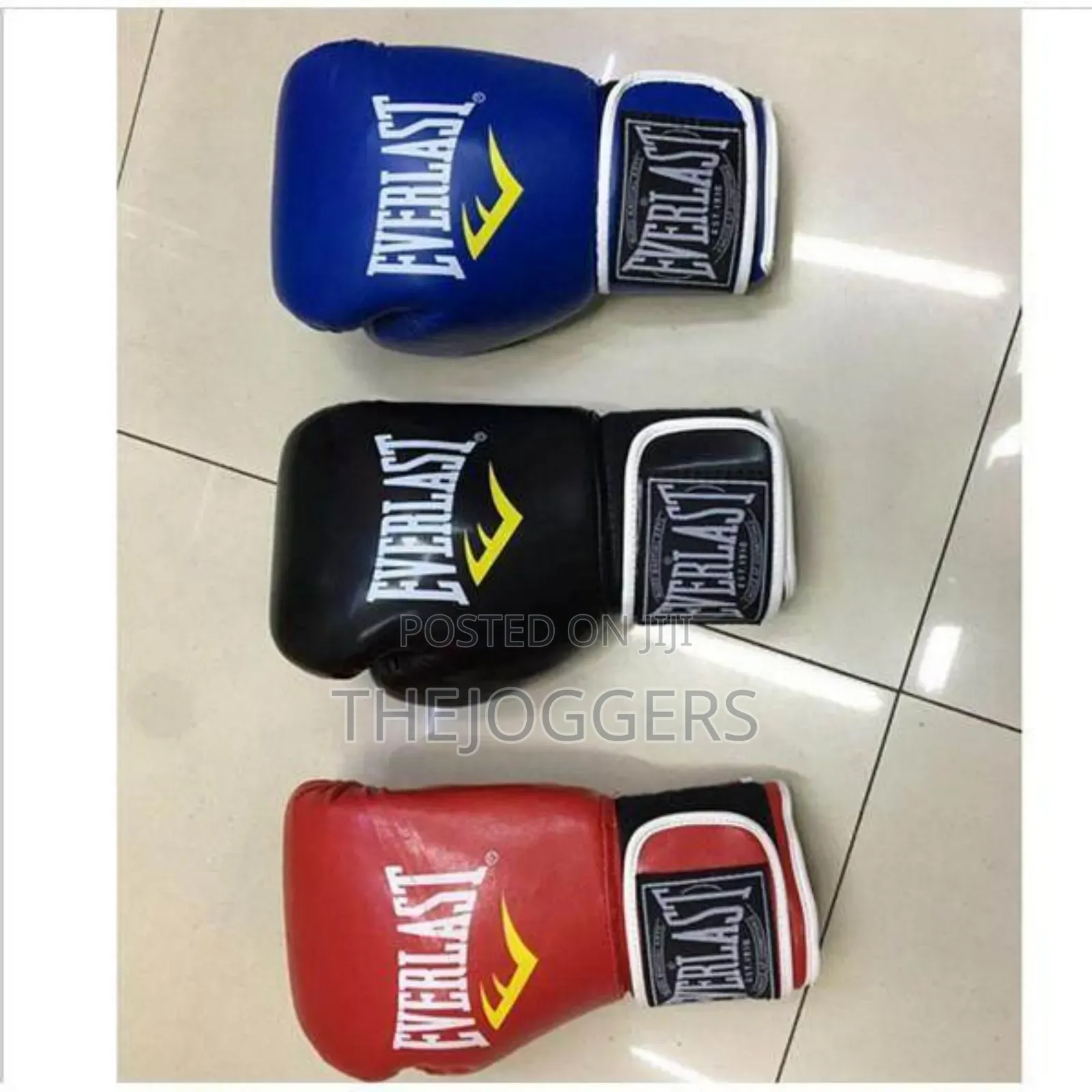 Everlast Boxing Gloves