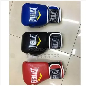 Everlast Boxing Gloves