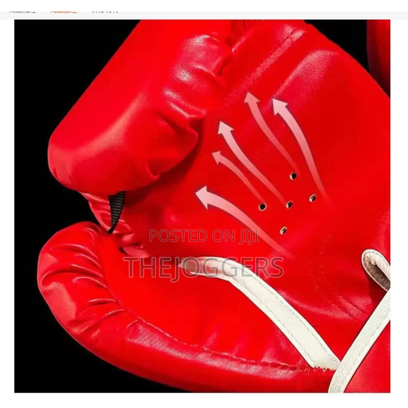 Everlast Boxing Gloves