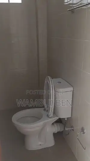 2bdrm Apartment in Falcon Apartments, South C for rent
