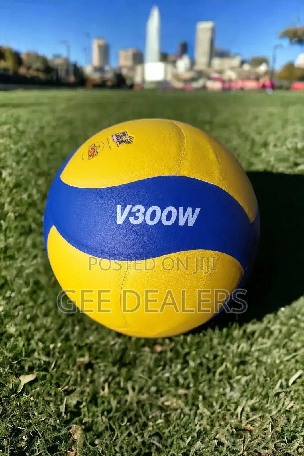 Mikasa V300W Volleyball, Volleyballs Mikasa