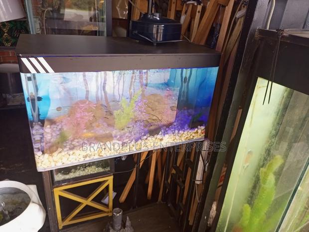 Fish Aquarium - main view