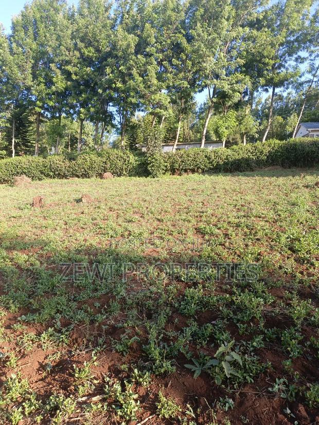 Half Acre Kibiku - main view