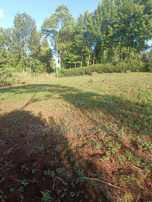 Half Acre Kibiku - thumbnail 2