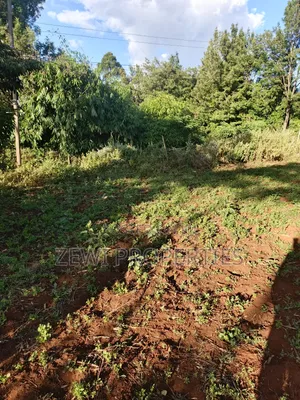 Half Acre Kibiku