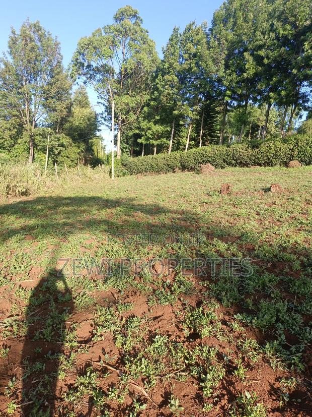 Half Acre Kibiku - thumbnail 4