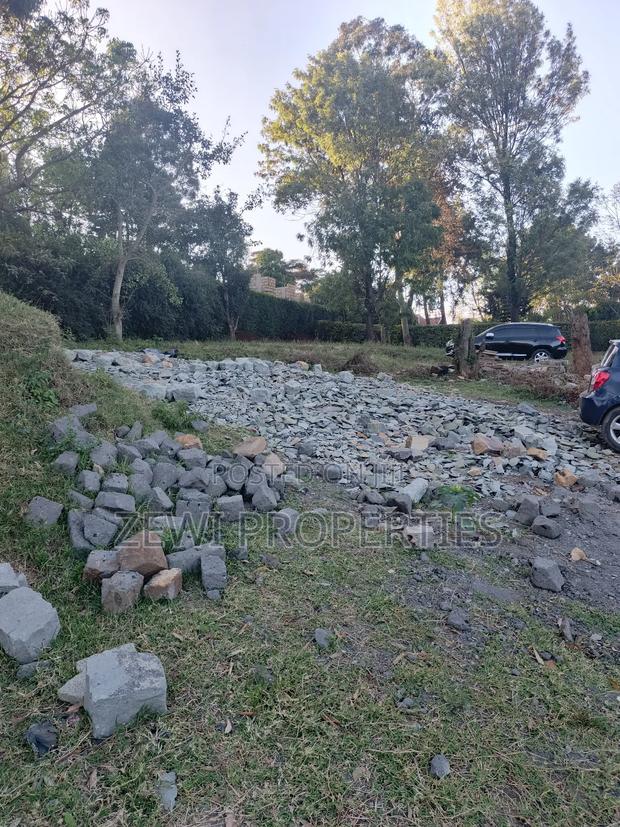 Quarter Acre Kibiku - thumbnail 3