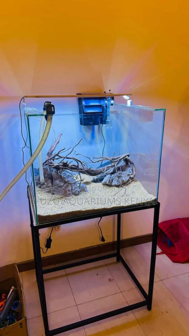 Natural Look Aquarium - thumbnail 4