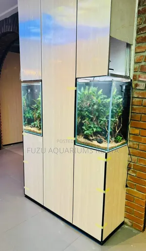 Customized Office Aquariums