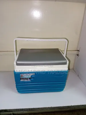 4.5L Cooler Box/Picnic Cooler Box