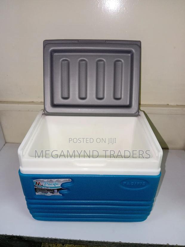 4.5L Cooler Box/Picnic Cooler Box