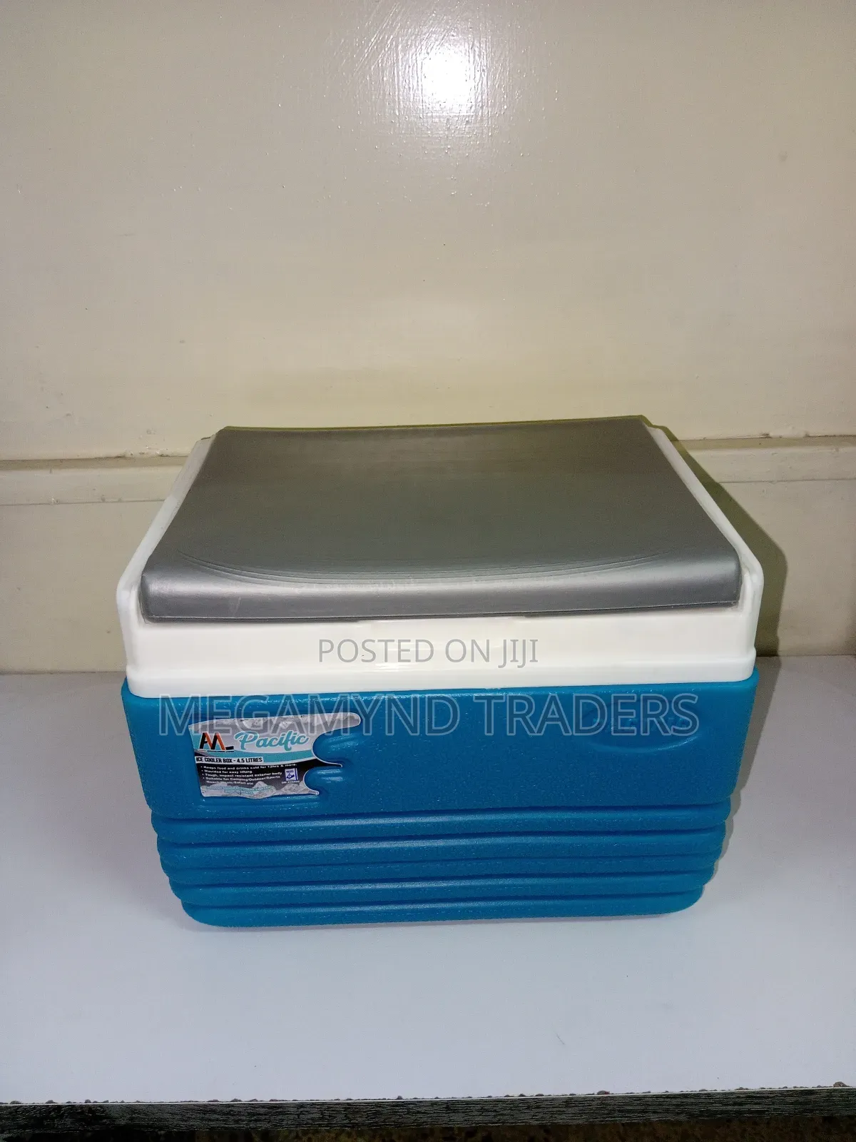 4.5L Cooler Box/Picnic Cooler Box