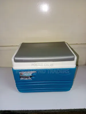 4.5L Cooler Box/Picnic Cooler Box