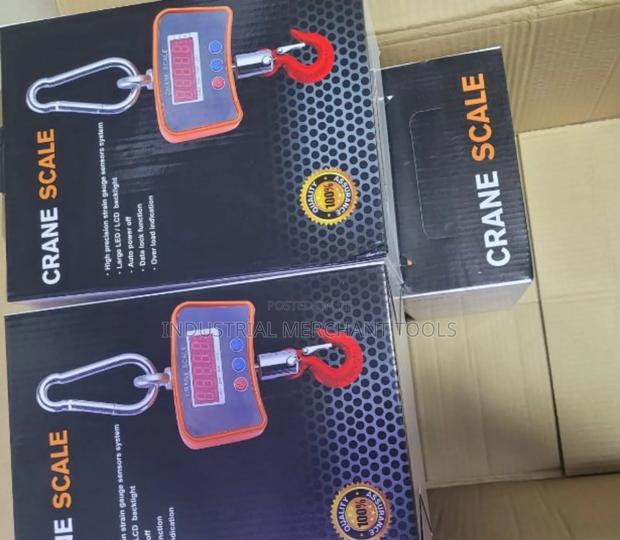 500kgs Crane Scale - main view