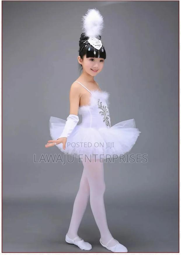 Professional Ballerina Dancing Costumes