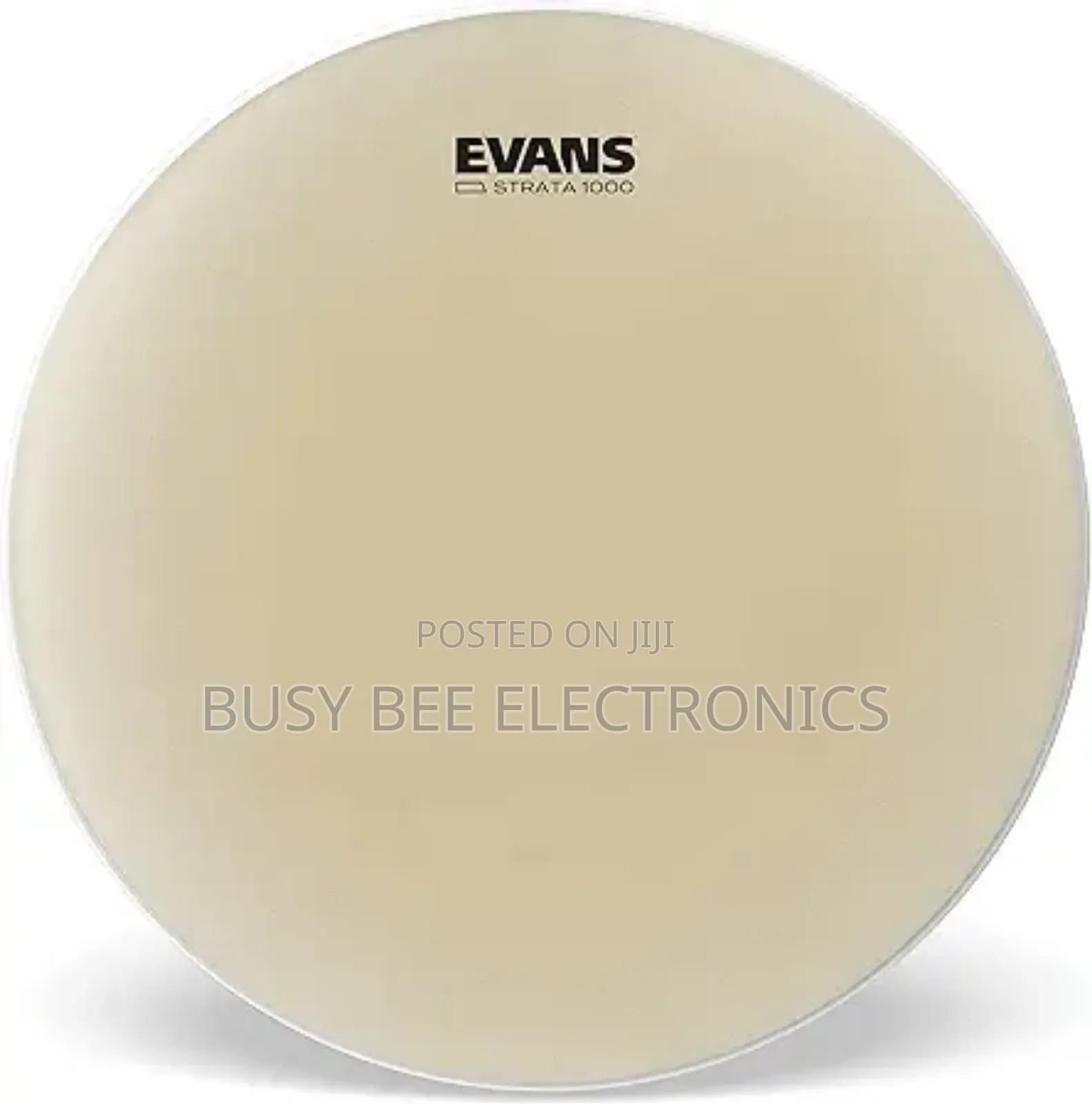 Evans Concert Drum Head